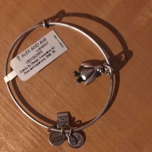 Alex and Ani Penguin charm bracelet